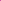 Mini Magenta Pralines